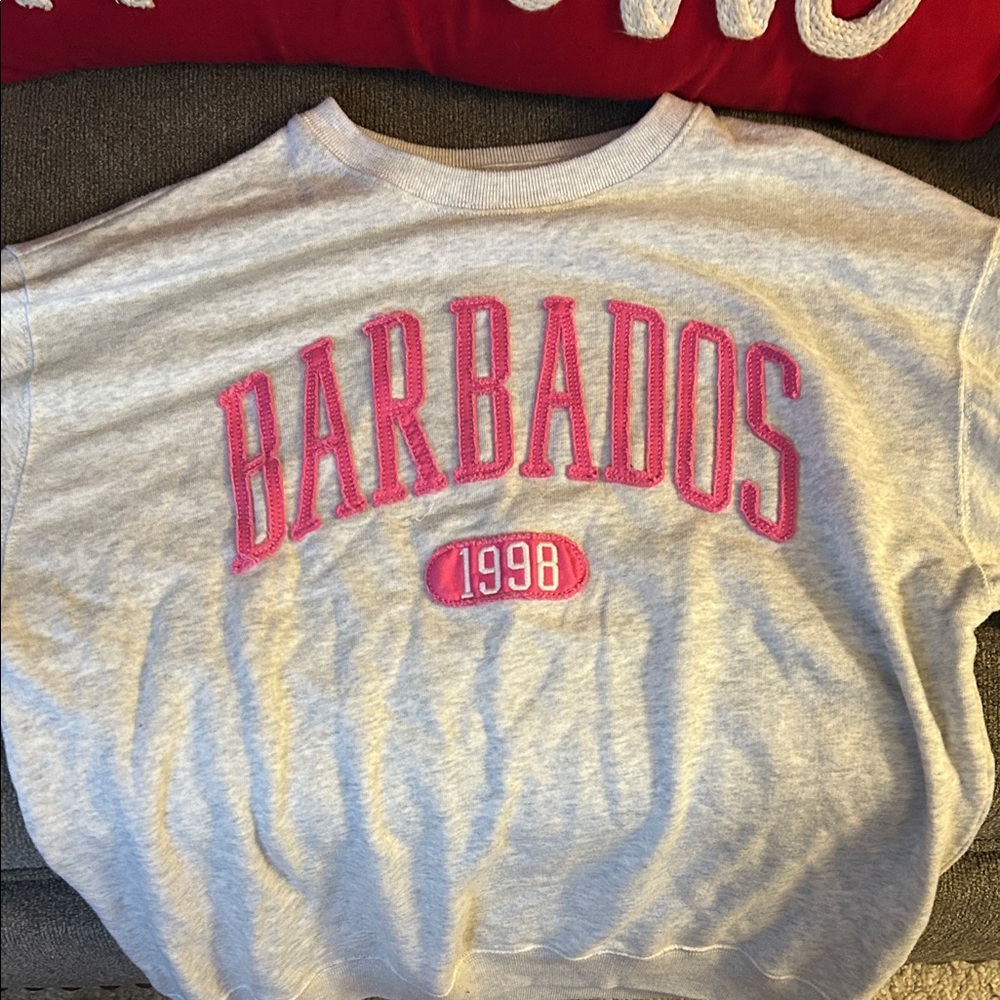 Hollister Kids Gray Sweatshirt with Pink Barbados Print